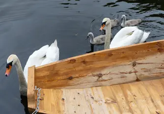 Bau eines Spreewaldkahns